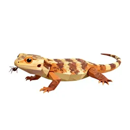 Mountain devil