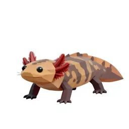 Mud puppy