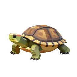 Mud turtle