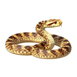 Pit viper