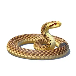 Puff adder