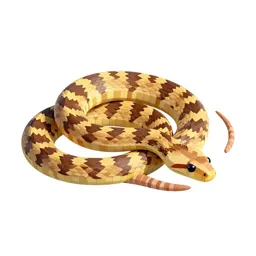 Rat snake