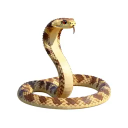 Rattlesnake