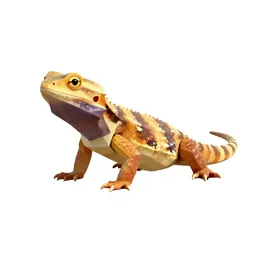 Reptile
