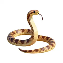 Ringhals