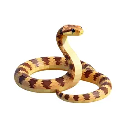 Ringneck snake