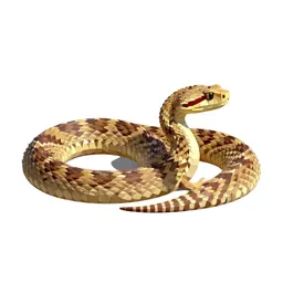 Rock rattlesnake