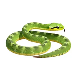 Rough green snake