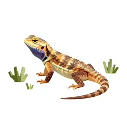 Sagebrush lizard