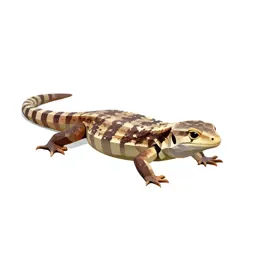 Sand lizard