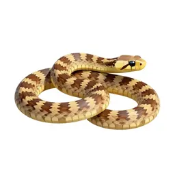 Sand snake