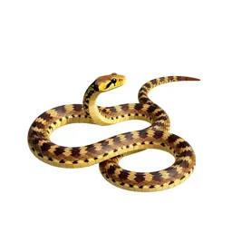 Sea snake