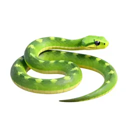 Smooth green snake