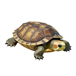 Smooth softshell