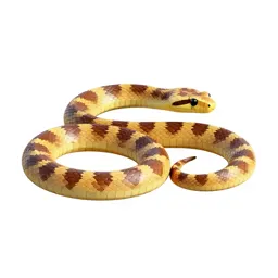 Snake