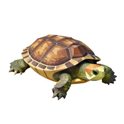 Soft-shelled turtle