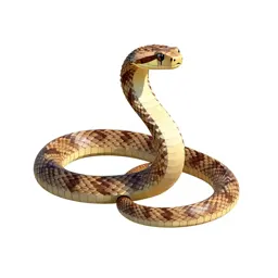 Speckled rattlesnake