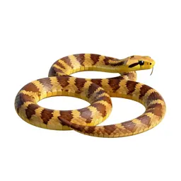 Tiger snake