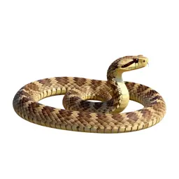 Timber rattlesnake