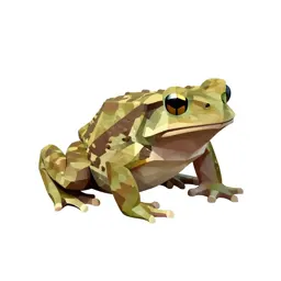 Tree toad