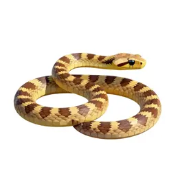 Vine snake
