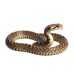 Water moccasin