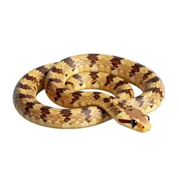 Western blind snake