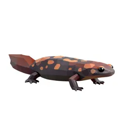 Western red-backed salamander