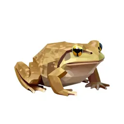 Wood-frog