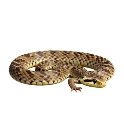 Adder