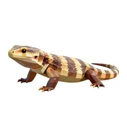Agamid