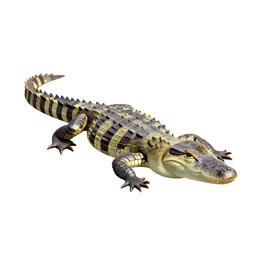Alligator lizard