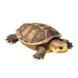 Alligator snapping turtle