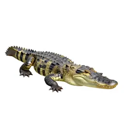 Alligator