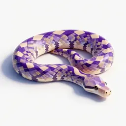 Amethystine python