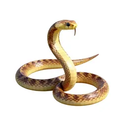 Eastern coral snake