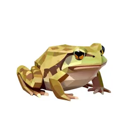 Eastern cricket frog