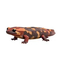 Eastern red-backed salamander