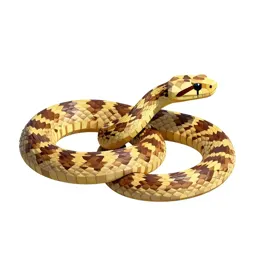 Elapid