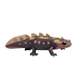 Olm