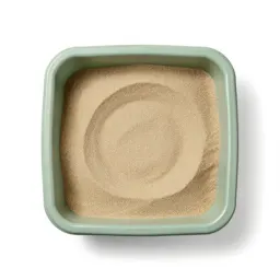 Sandbox