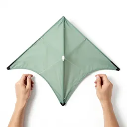 Sport kite