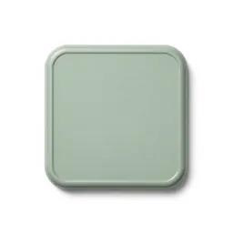Home plate