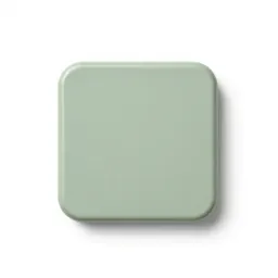 Salver