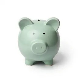 Savings bank