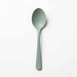 Spoon