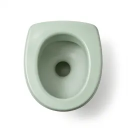 Toilet bowl