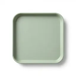 Tray