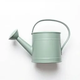 Watering can