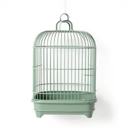 Birdcage